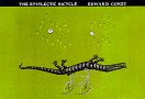 The Epipleptic Bicycle