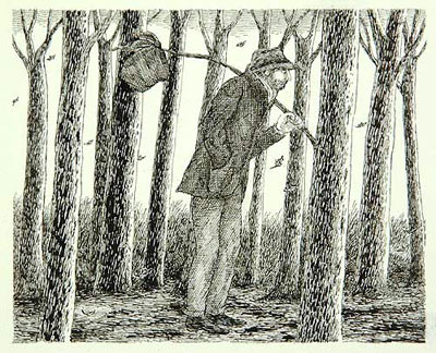 Original Art by Edward Gorey from Goreybooks.com
